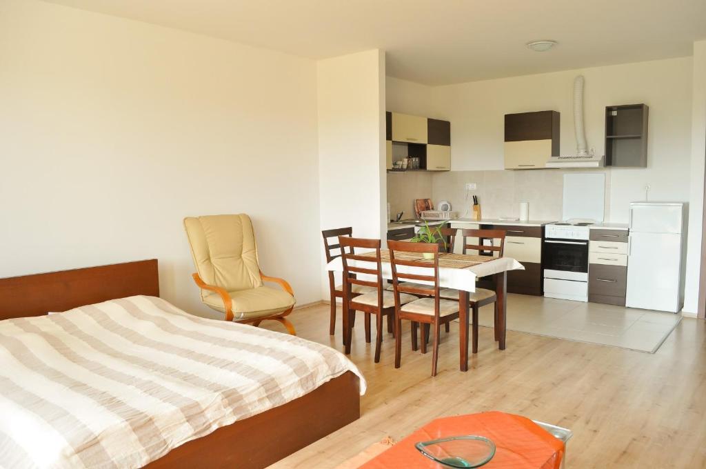 سيغيد Tisza Palota Apartmanok الغرفة الصورة